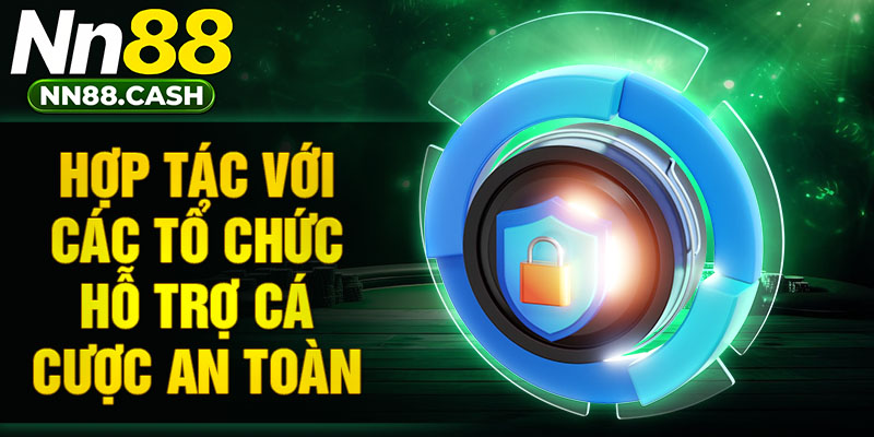 Hợp tác với các tổ chức hỗ trợ cá cược an toàn
