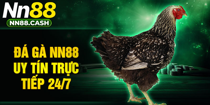 Đá gà NN88 uy tín trực tiếp 24/7