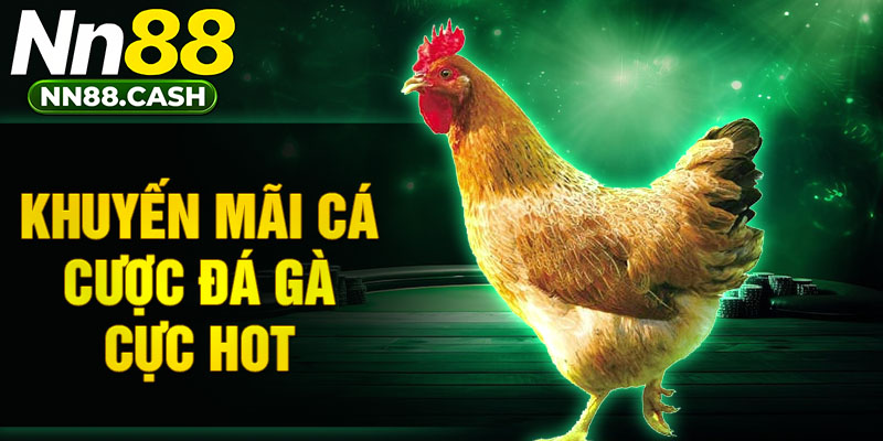 Khuyến mãi cá cược đá gà cực hot