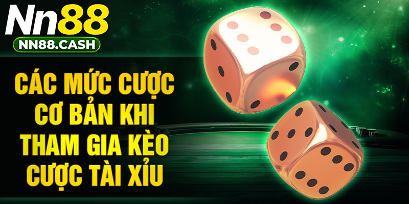 Các mức cược cơ bản khi tham gia kèo cược tài xỉu
